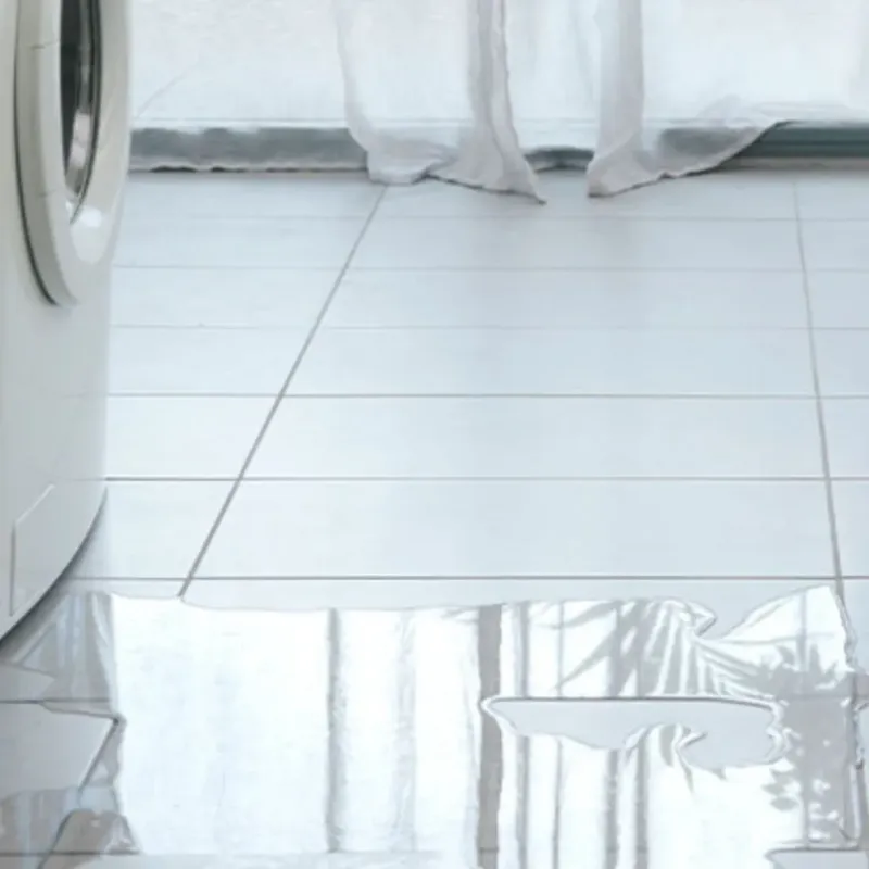 Appliance Leak Cleanup in Glasford, IL