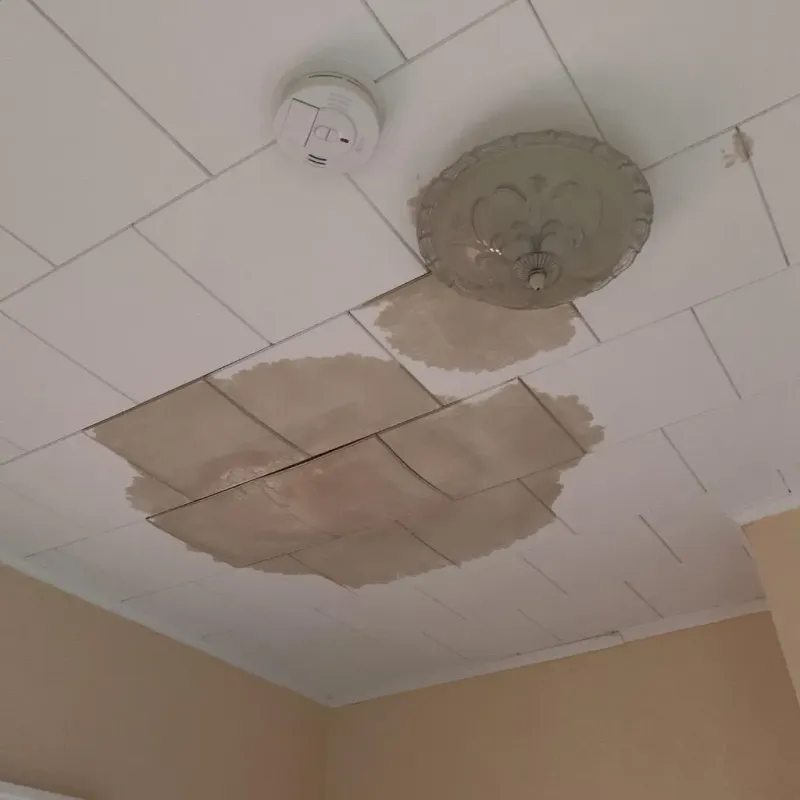 Ceiling Water Damage Repair in Glasford, IL