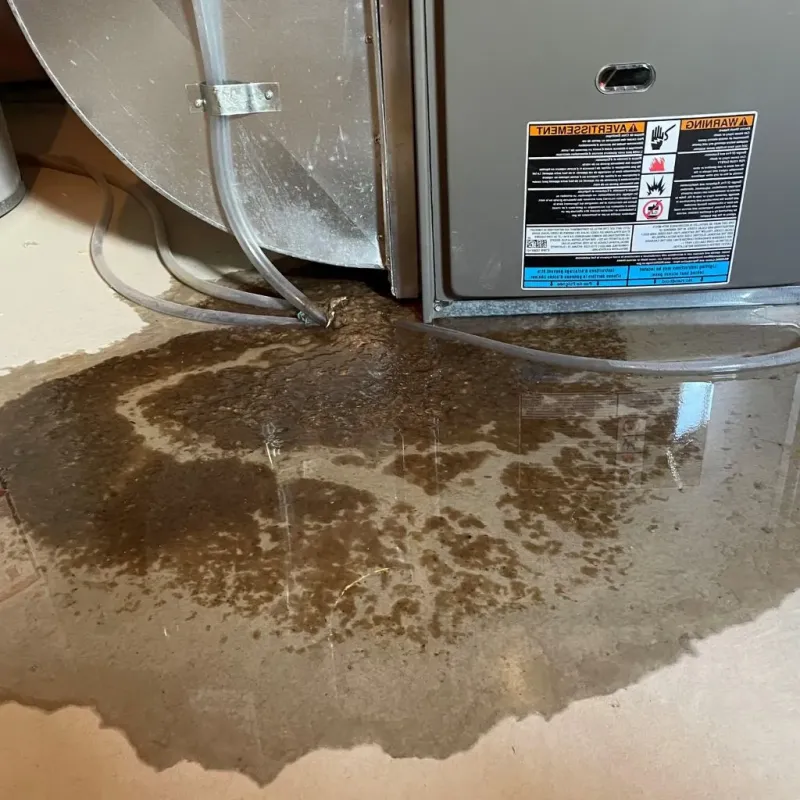 Pipe Burst and Leak Restoration in Glasford, IL