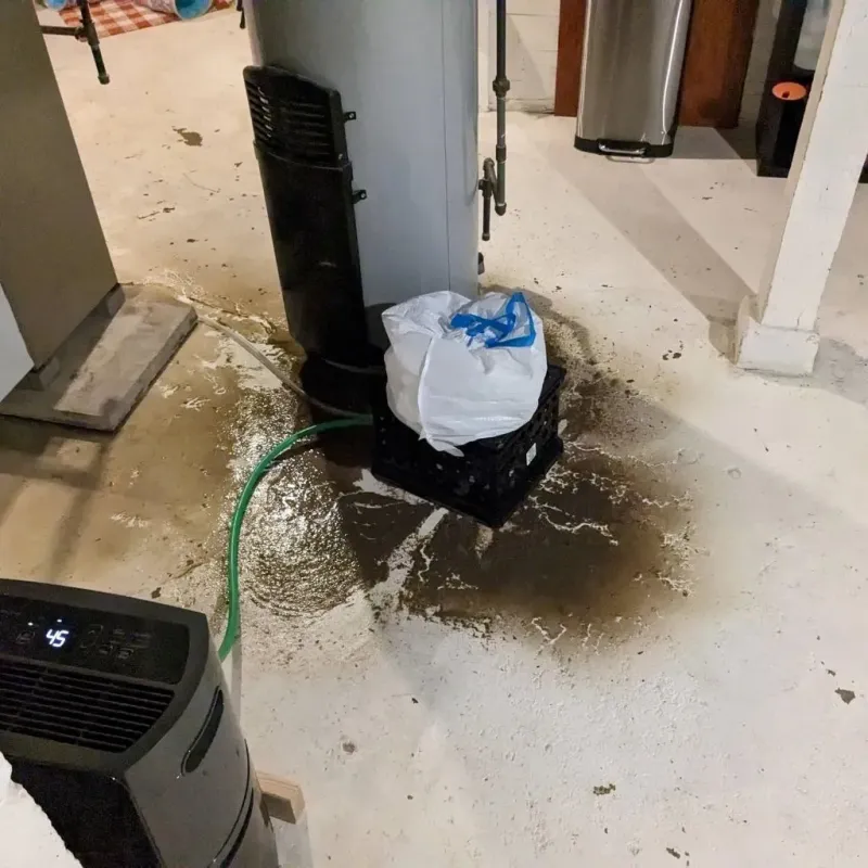 Sewage Backup Cleanup Service in Glasford, IL